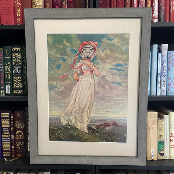 Stormtrooper Original Painting "Imperial Girl"